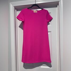 Let Them Eat Cake Shift Dress. Size S. Hot Pink. Worn Once!